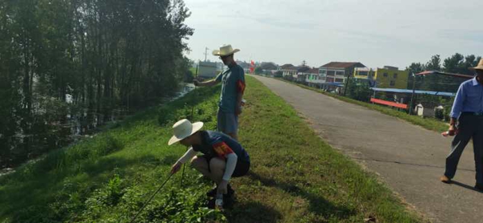 省黄梅戏剧院党员干部奋战在防汛一线