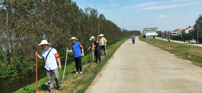 省黄梅戏剧院党员干部奋战在防汛一线