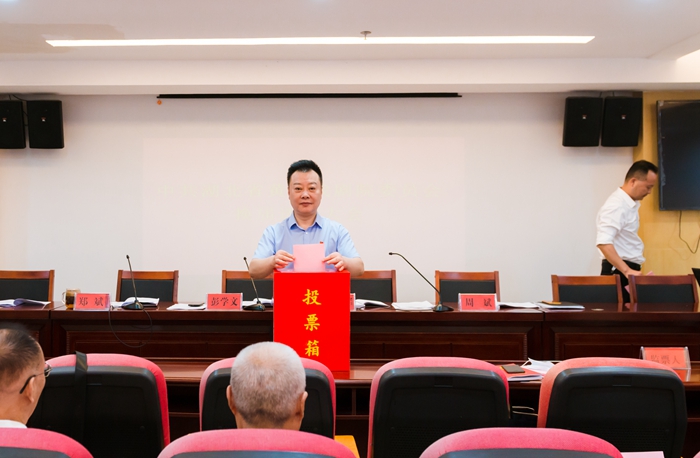 省黄梅戏剧院召开党委换届选举大会