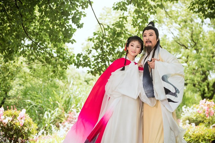 黄梅戏《东坡》电影 在黄梅戏大剧院首映